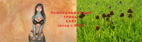 экстази Алексеевка
